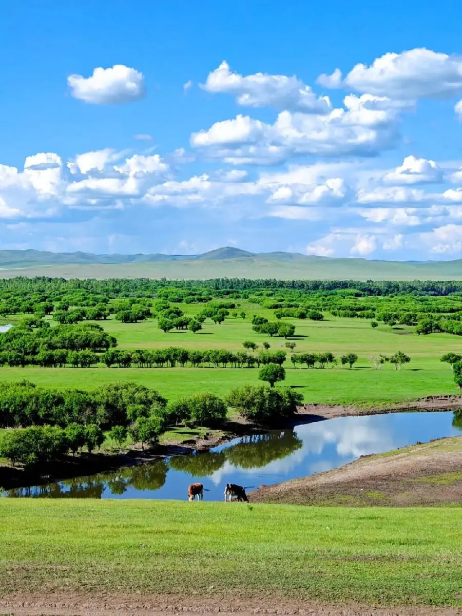 后悔没早来❗内蒙古这些景点才是旅行王炸