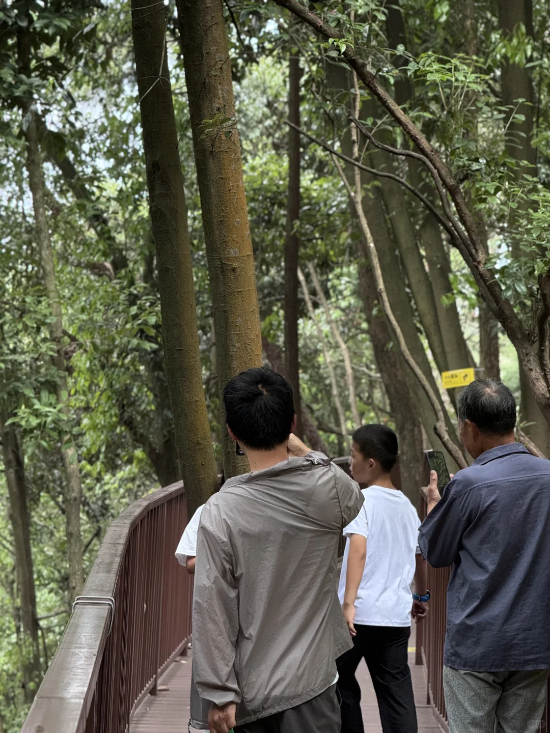 把这条推给所有千岛湖本地人