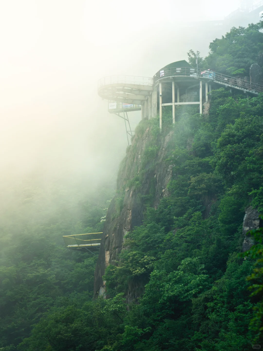 可惜你不来安吉❗️不知道悬崖上的草原多好玩