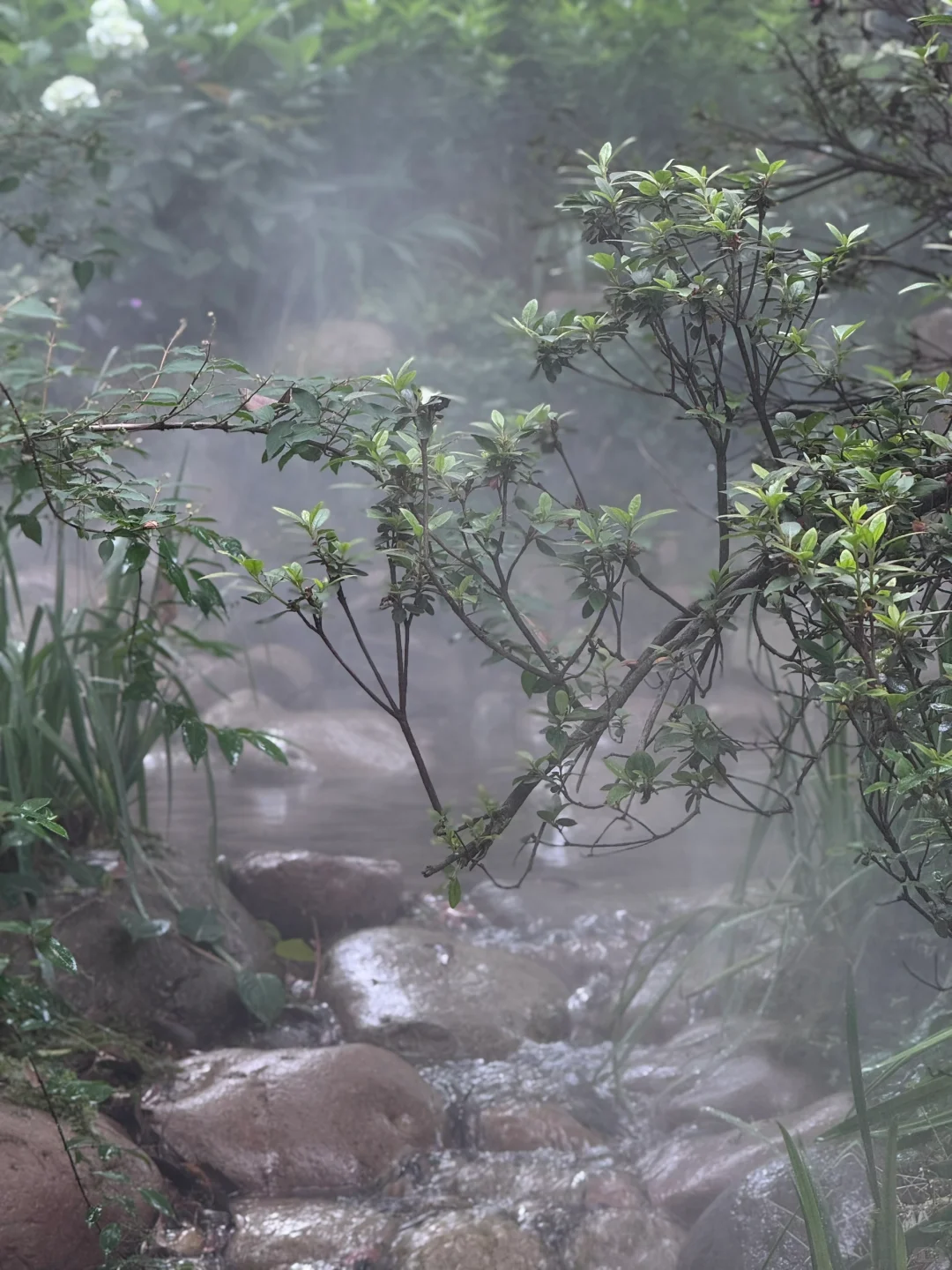 把这条推给所有千岛湖本地人