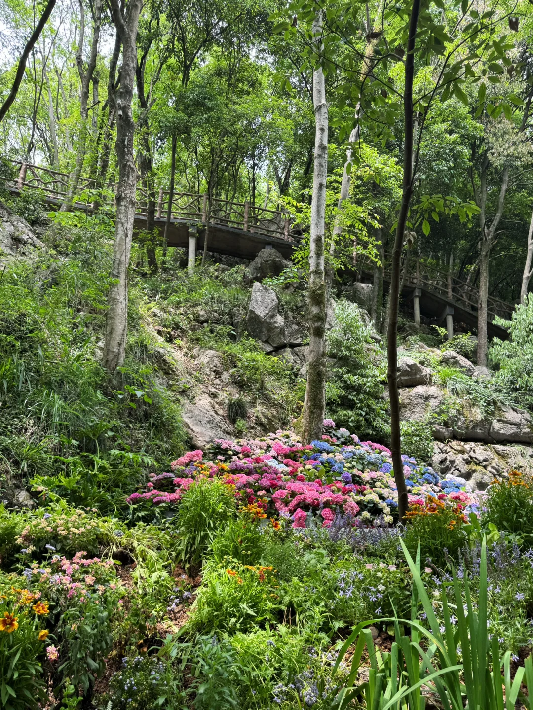 🌿杭州灵山·仙桥洞｜闯进现实版“绿野仙踪”！