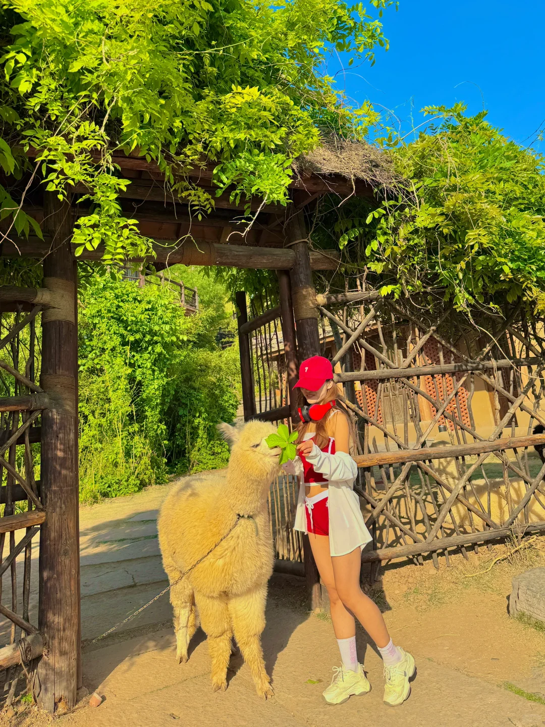 不在云南！在河南！发朋友圈被问爆了！！！