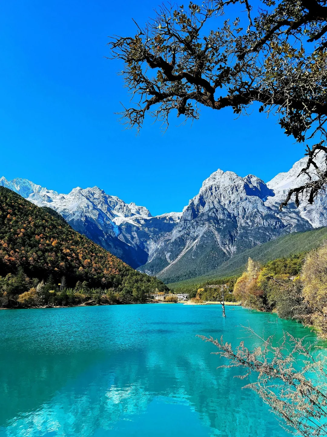 带父母👵游丽江📍三天两夜慢节奏攻略✨