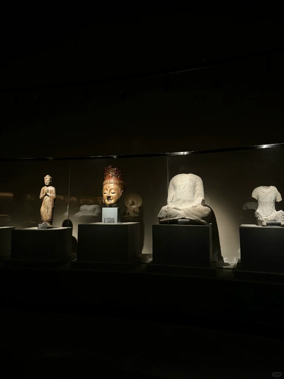 “仿佛看见南北朝的阳光照进现实”