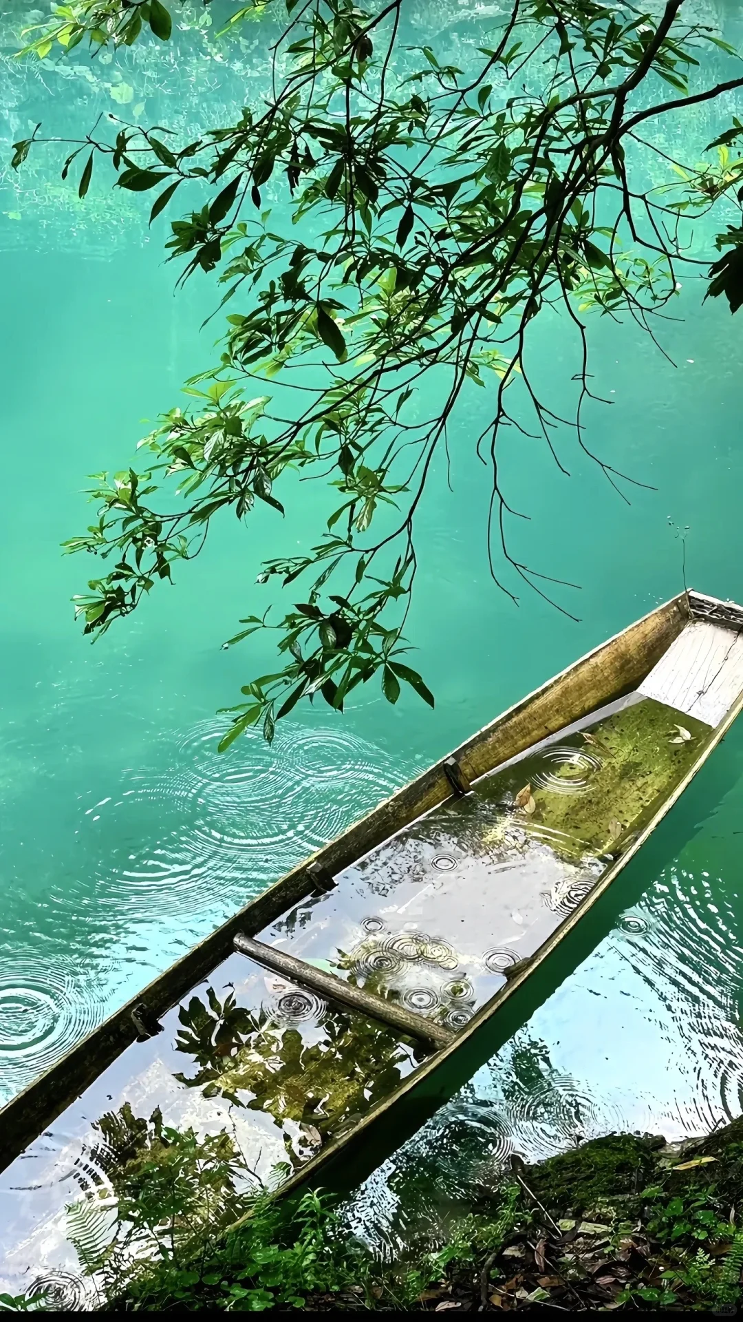 贵州已回，xhs广太多了！！！