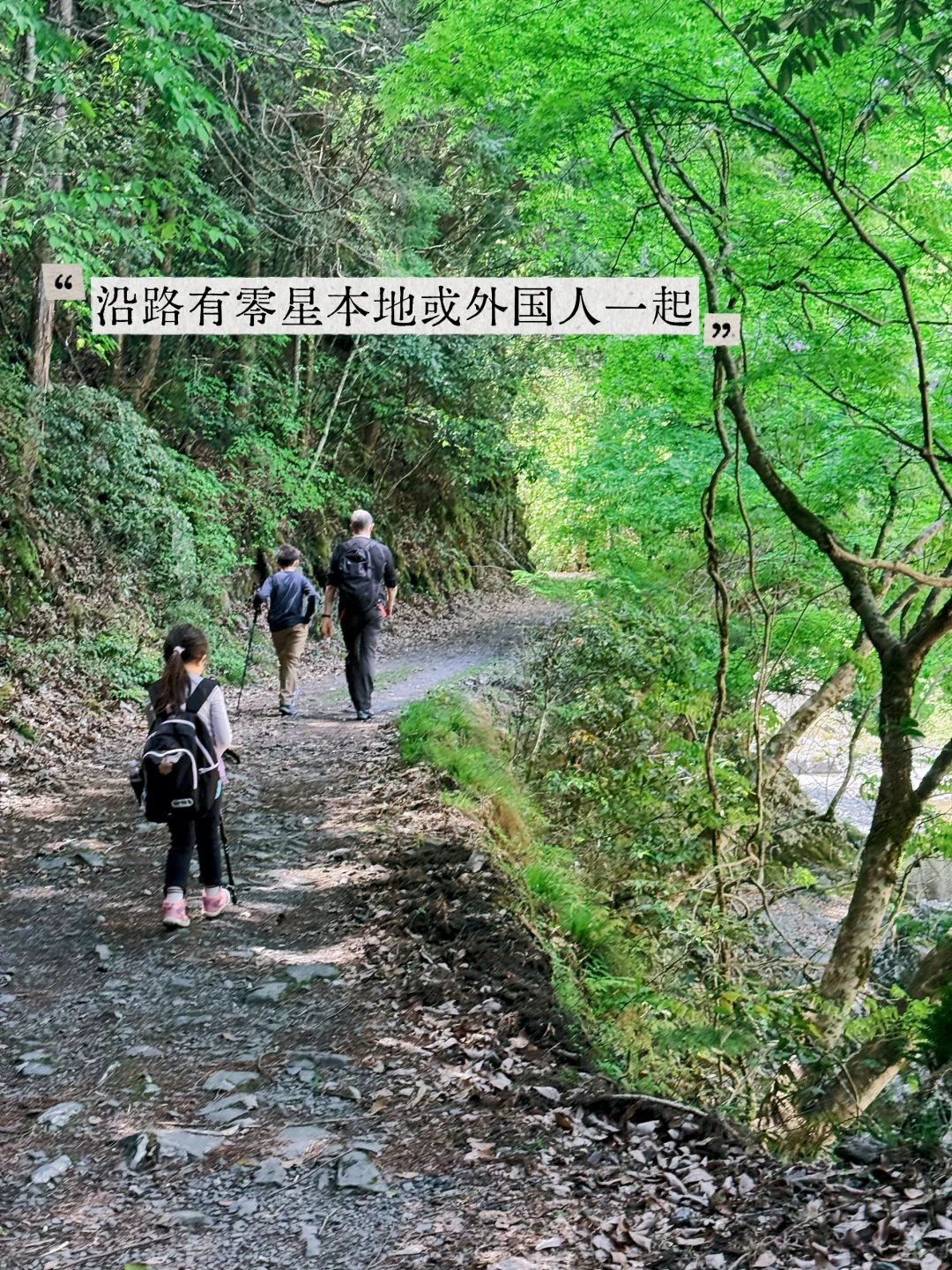 避开人潮！京都初夏绿径，高雄线徒步攻略