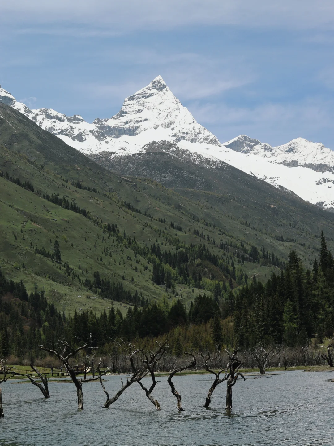 成都-四姑娘山-九寨沟不自驾不跟团攻略1⃣️