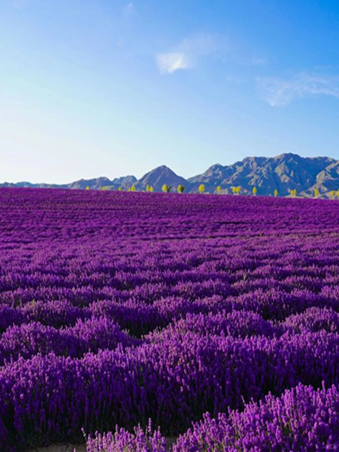 新疆8日游雪山草原沙漠全打卡