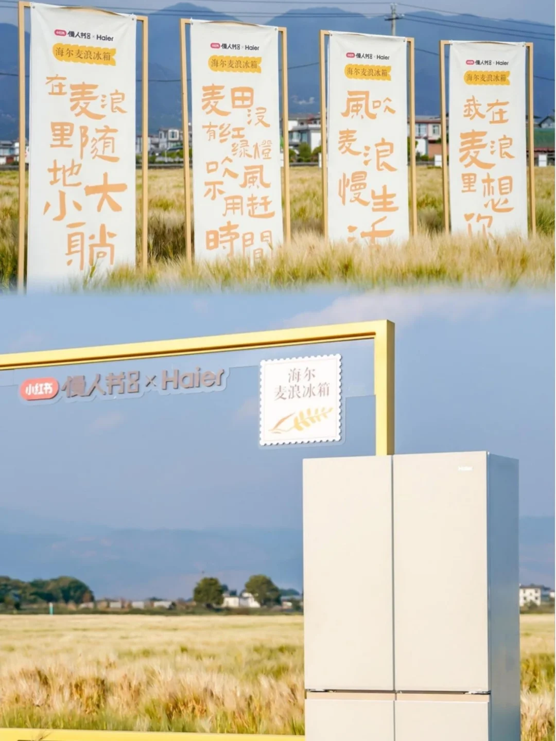 大理已回❗️真心提醒5~6月要去的姐妹们😓