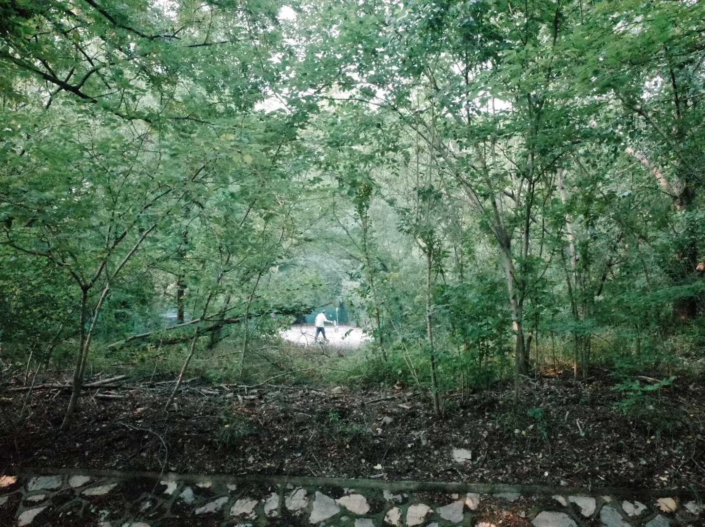 南京最喜欢的地方（之一
