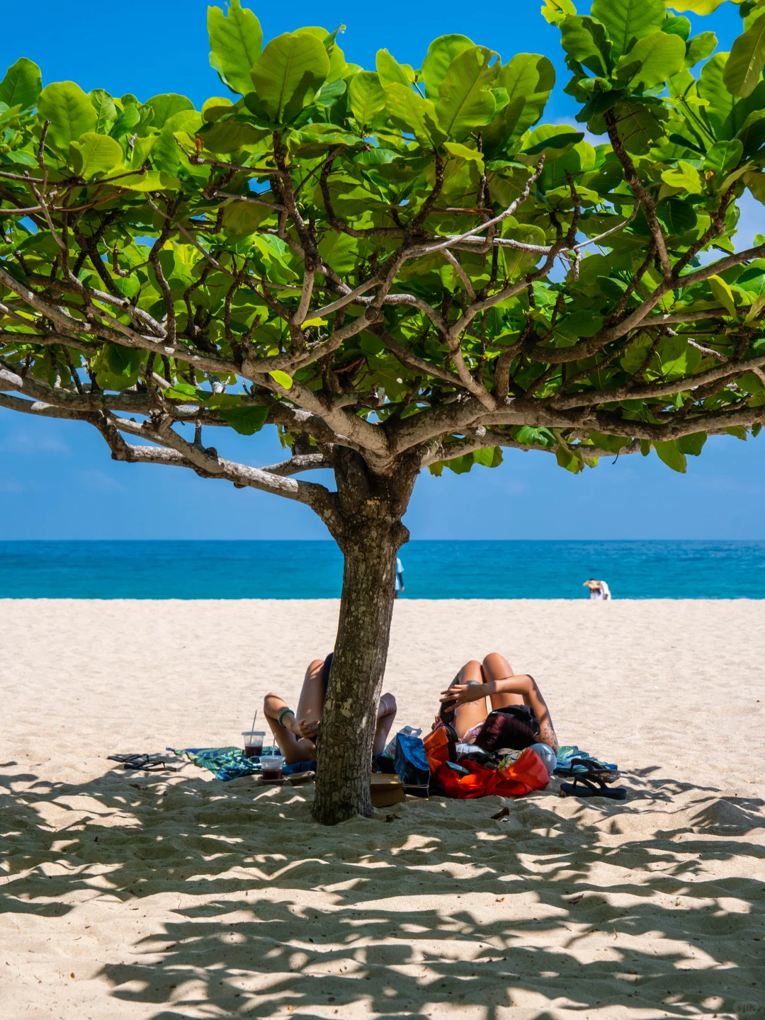 刚从三亚回来，听听我的真实感受🌴