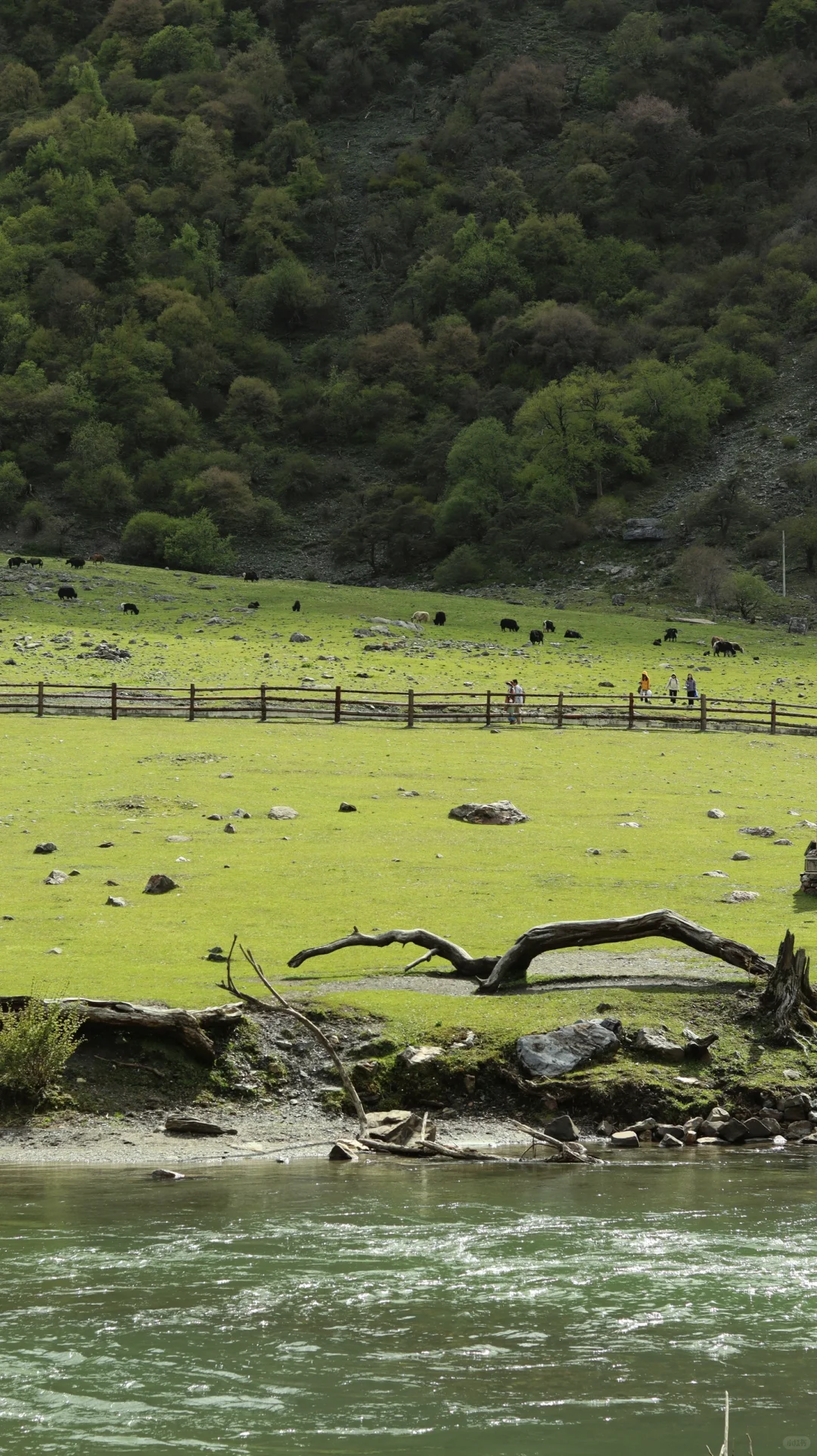 成都-四姑娘山-九寨沟不自驾不跟团攻略1⃣️