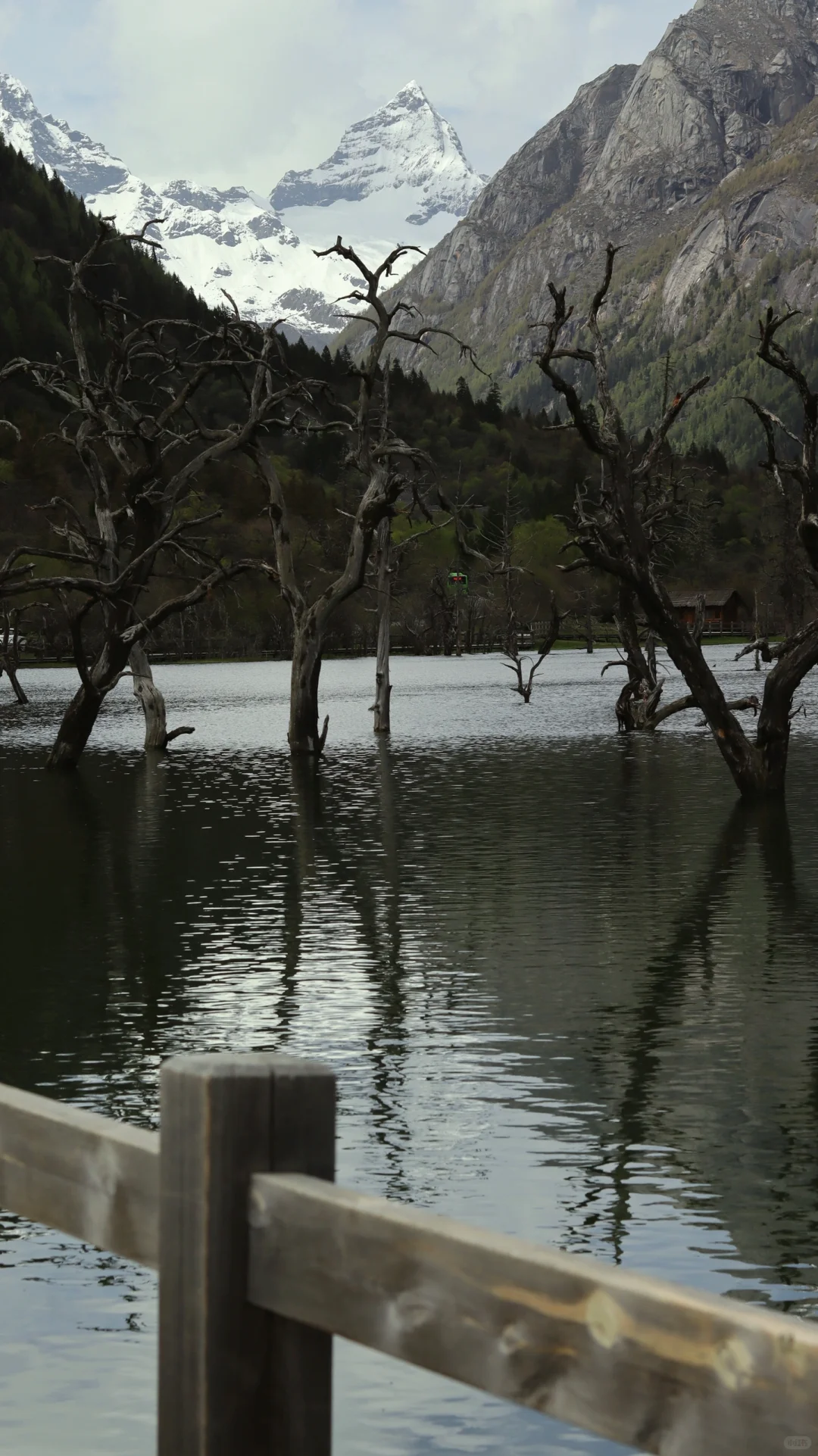 成都-四姑娘山-九寨沟不自驾不跟团攻略1⃣️