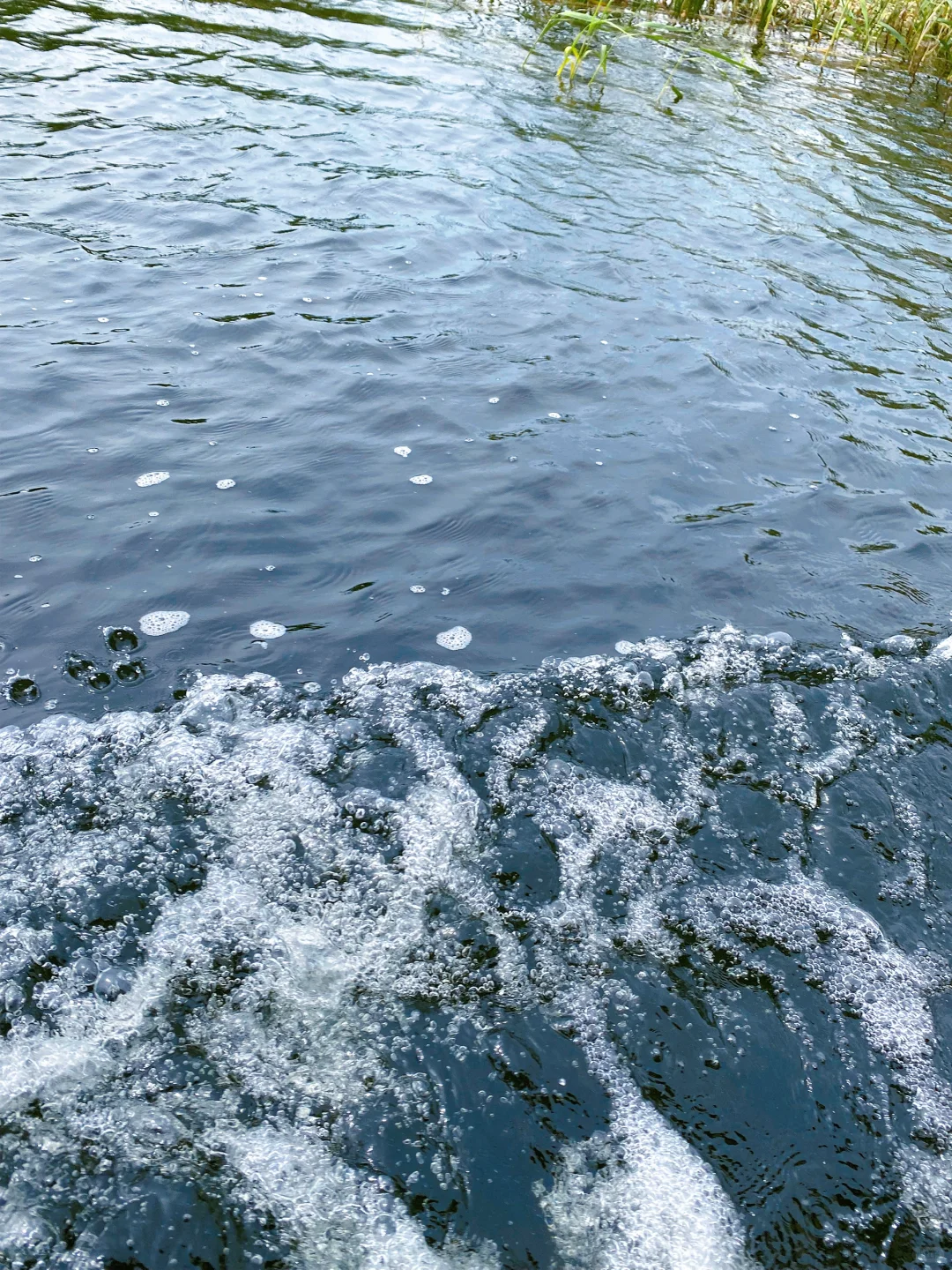 🌾【白洋淀|躲进北国的水乡诗笺里】🌤️