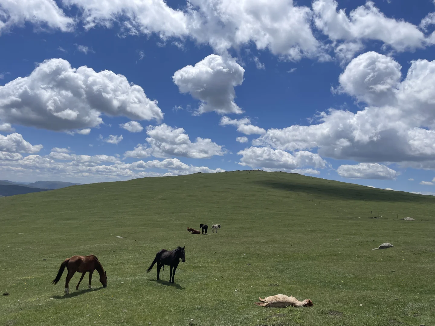 内蒙古有自己的阿勒泰-红石崖