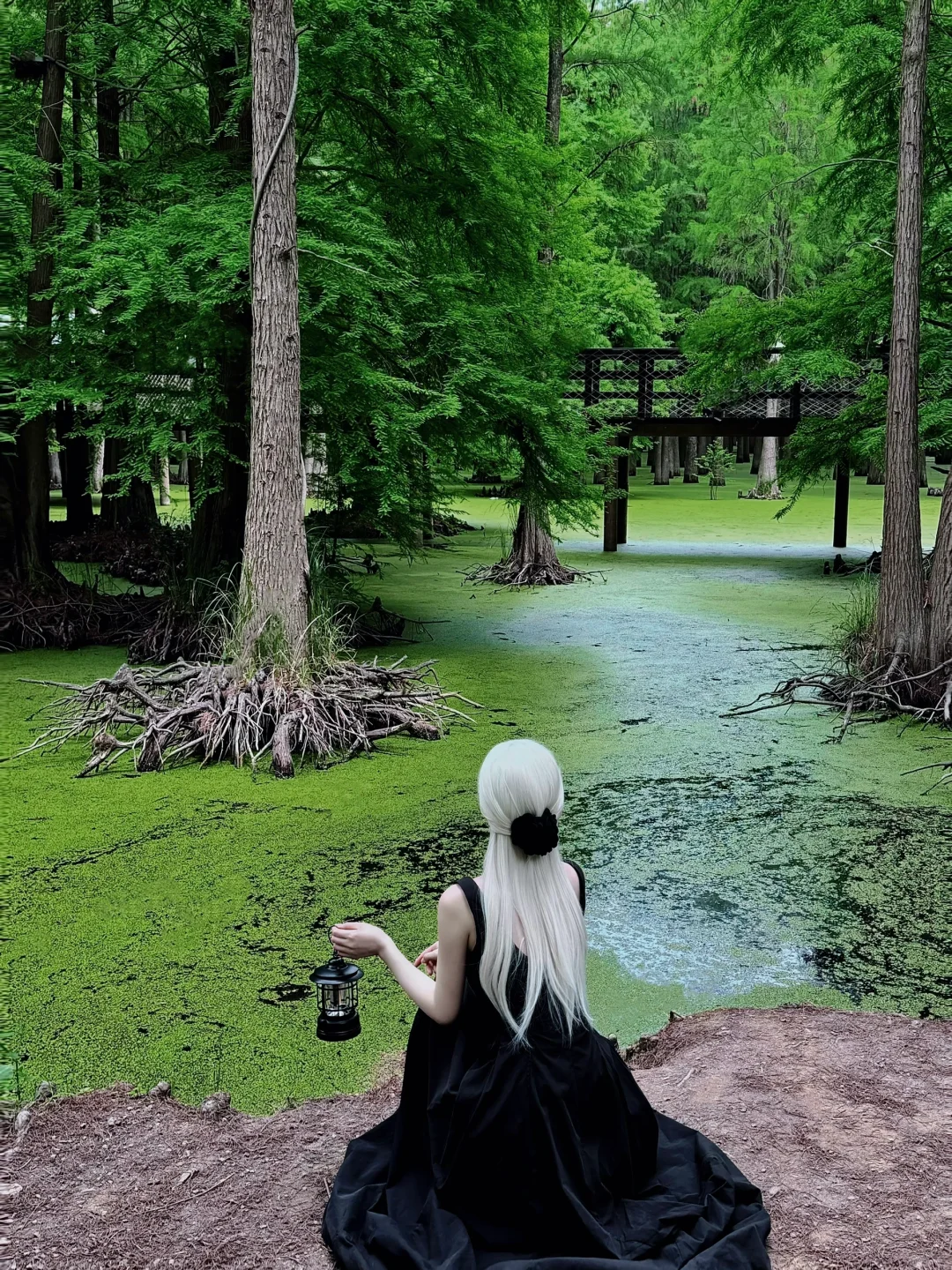 杭州青山湖真的绿啦🍃（附攻略）