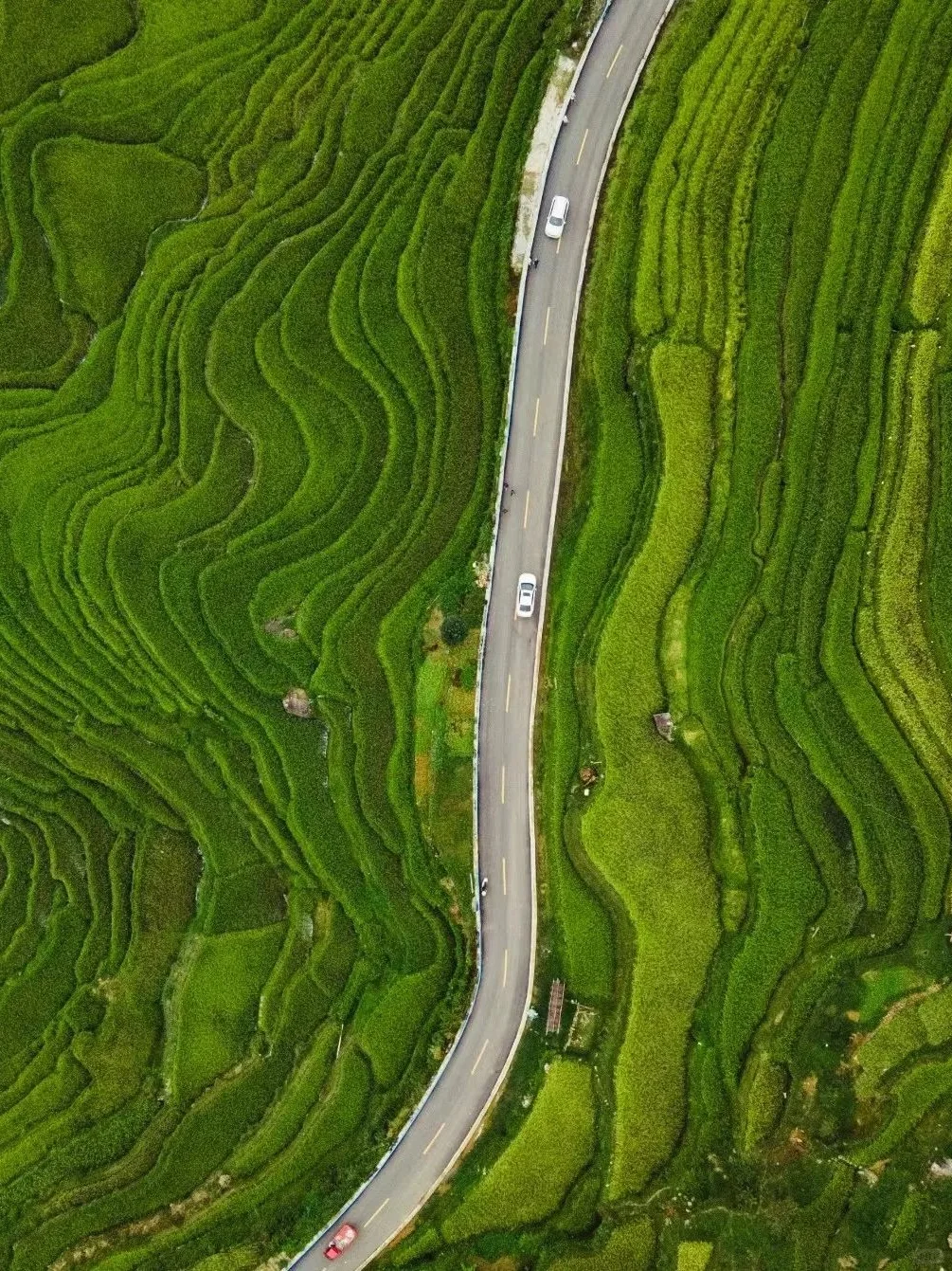 高铁直达🚝端午一定要来这个避世古村躺平
