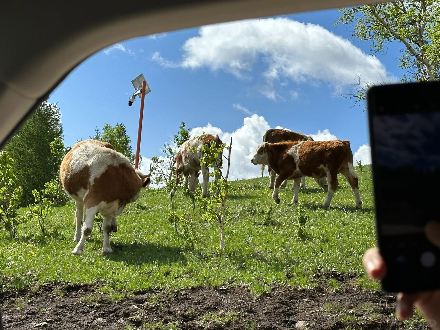 6.2丰宁草原天路