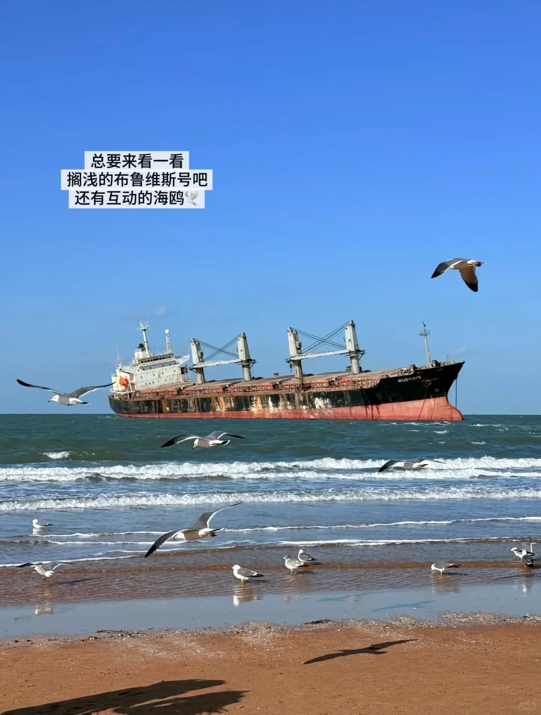 不在马尔代夫而是在山东!快码住这份攻略🏝️