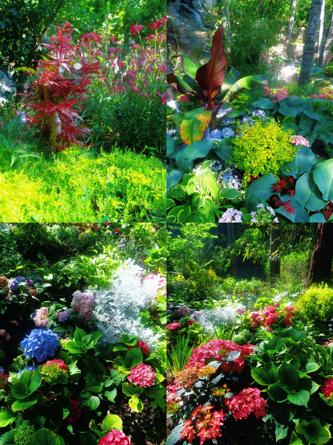 美哭了😭，拍到了同款莫奈花园，亲子友好