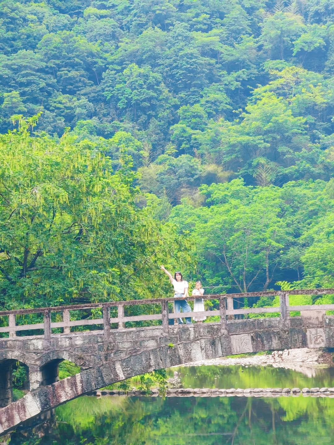 坐拥人间绝美，溪水摇篮🌲🌲