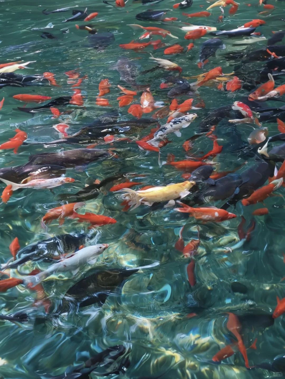 04女大📍济南两日游/附精华版不绕路攻略~