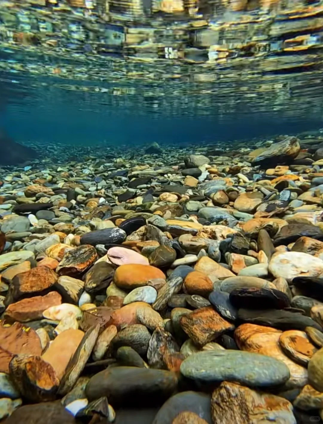 邢台周边免费捞鱼摸虾