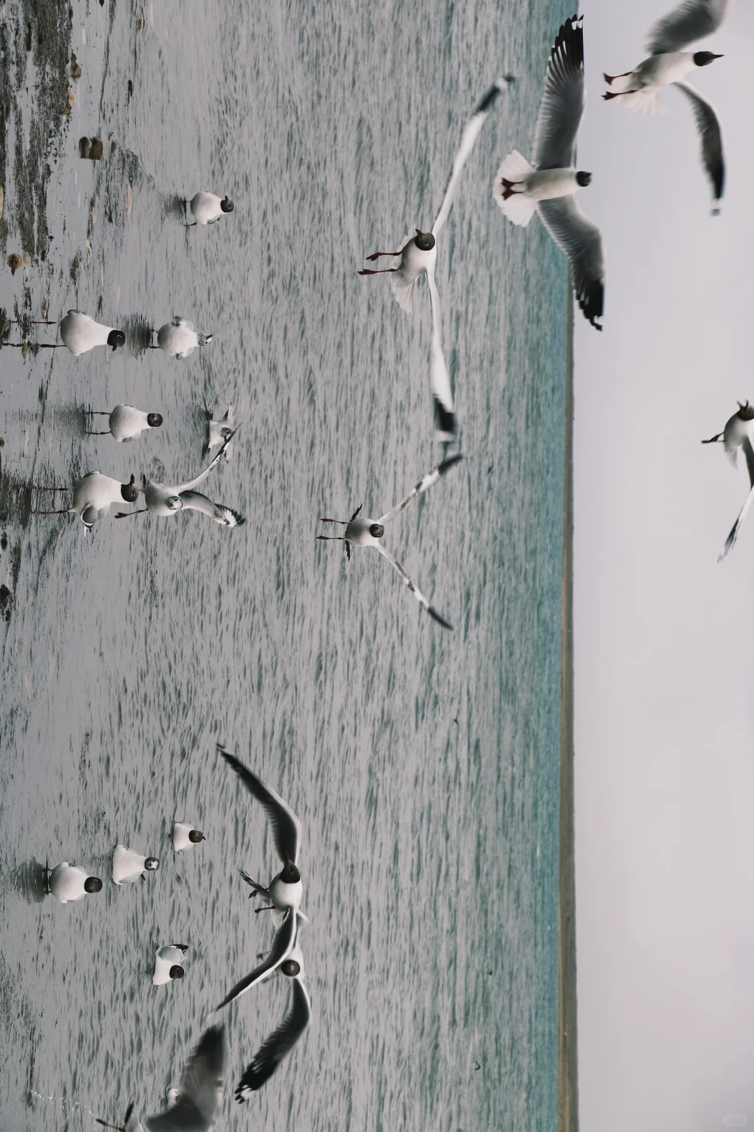 不自驾不包车西北旅游攻略（含费用）