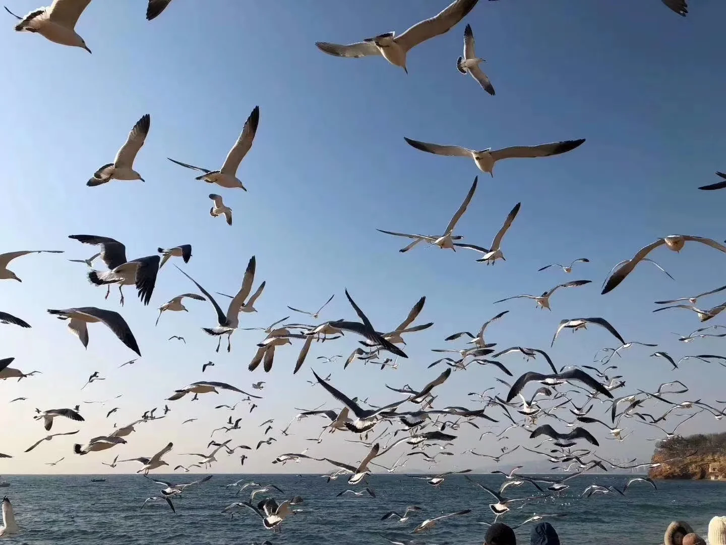 大连必去景点～
