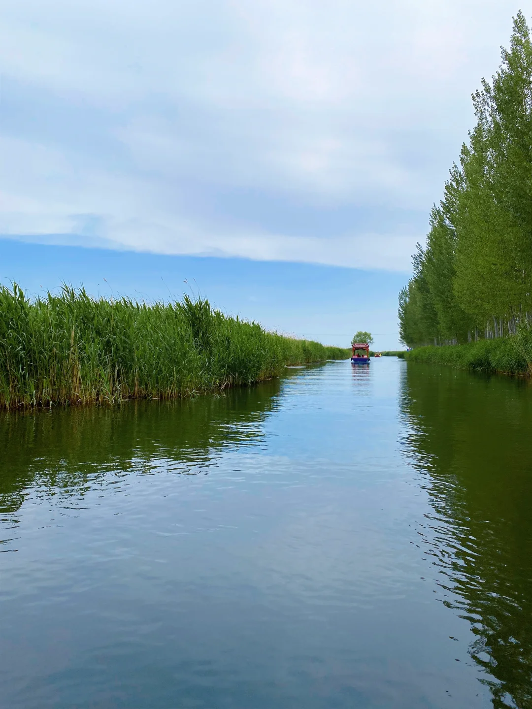 🌾【白洋淀|躲进北国的水乡诗笺里】🌤️