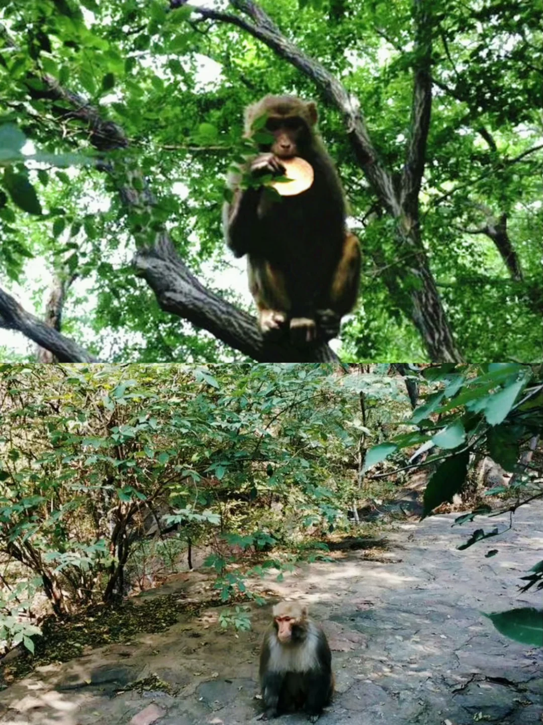 周末徒步！石家庄8条宝藏亲子爬山路线！