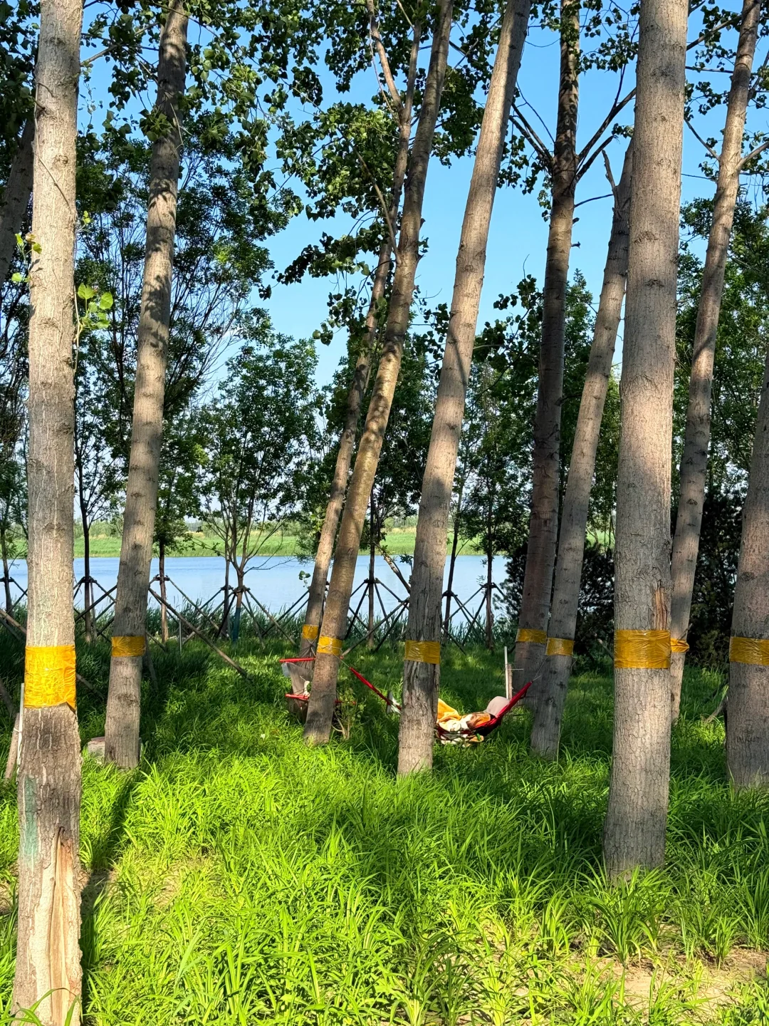 北京🚗1h|雄安白洋淀2天1夜免费景点全攻略