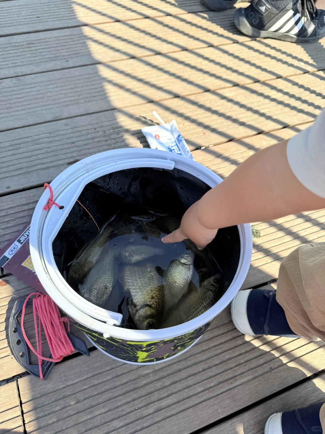 北京🚗1h|雄安白洋淀2天1夜免费景点全攻略