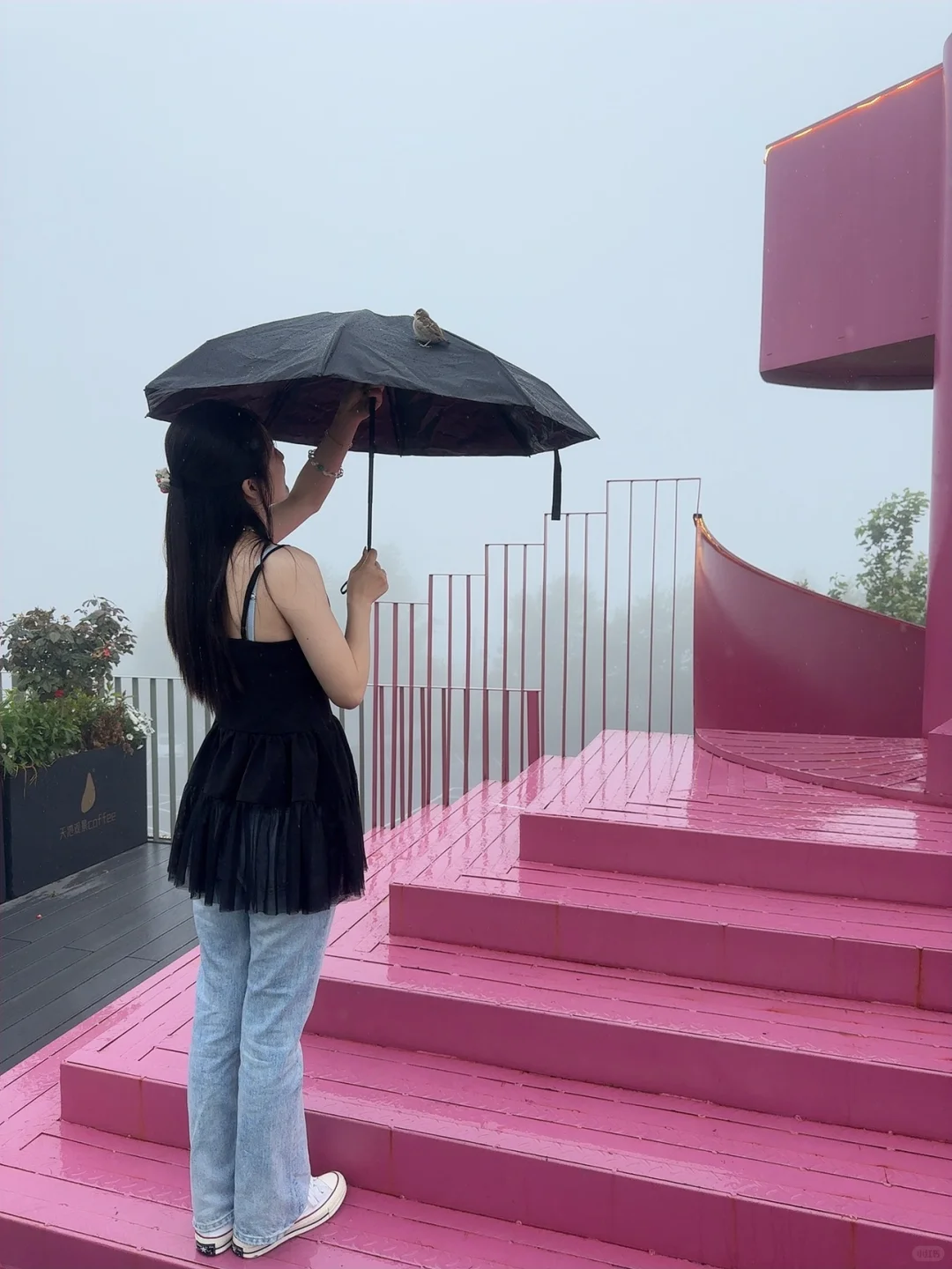 安吉 假期逃离城市的三天