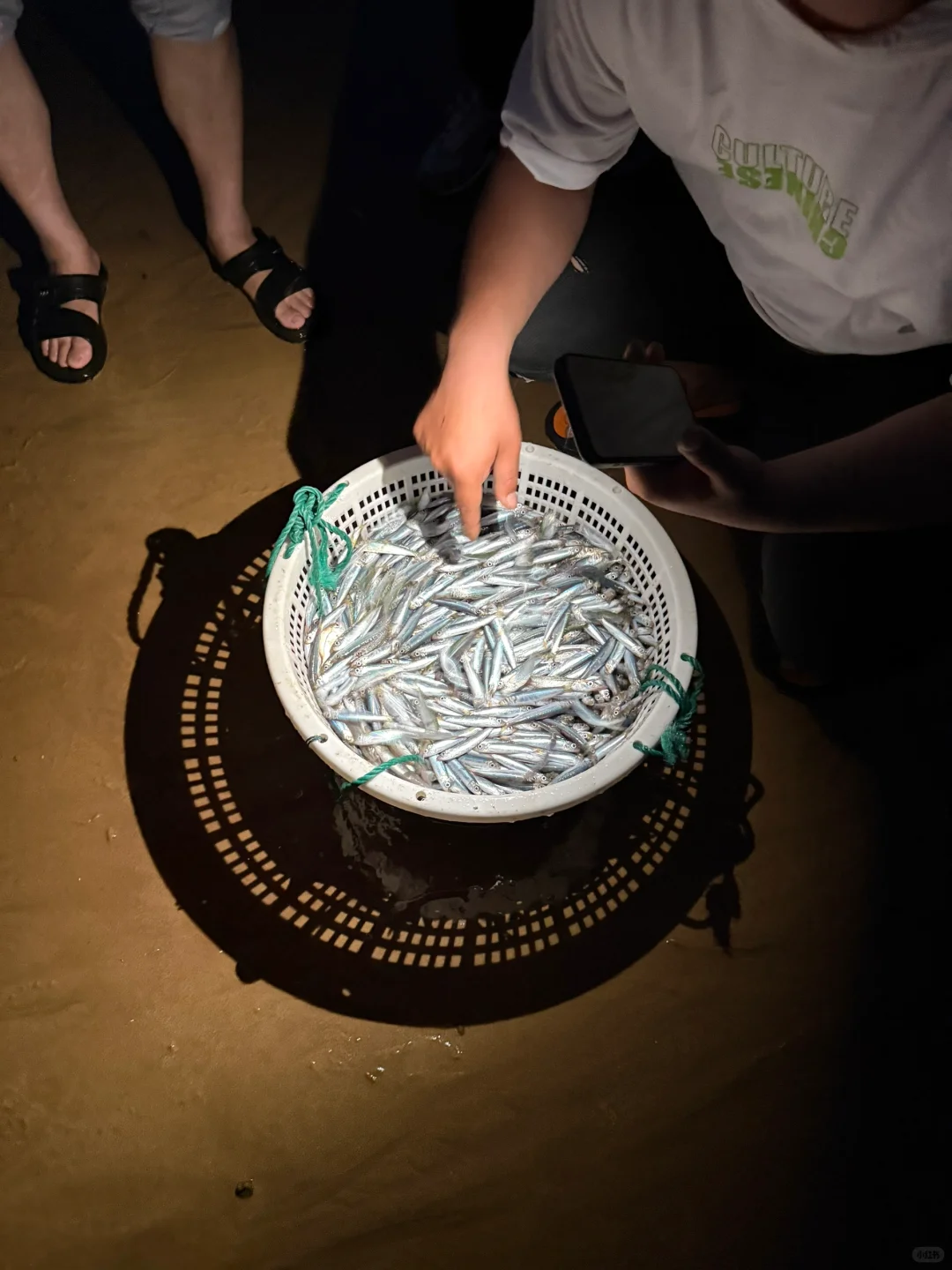 📍东庠岛｜很治愈的地方