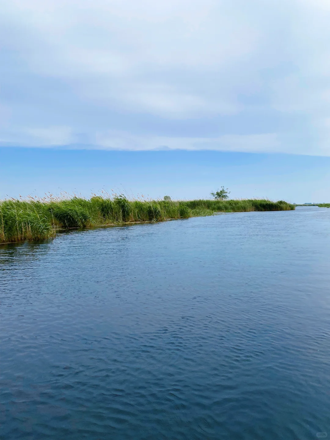 🌾【白洋淀|躲进北国的水乡诗笺里】🌤️