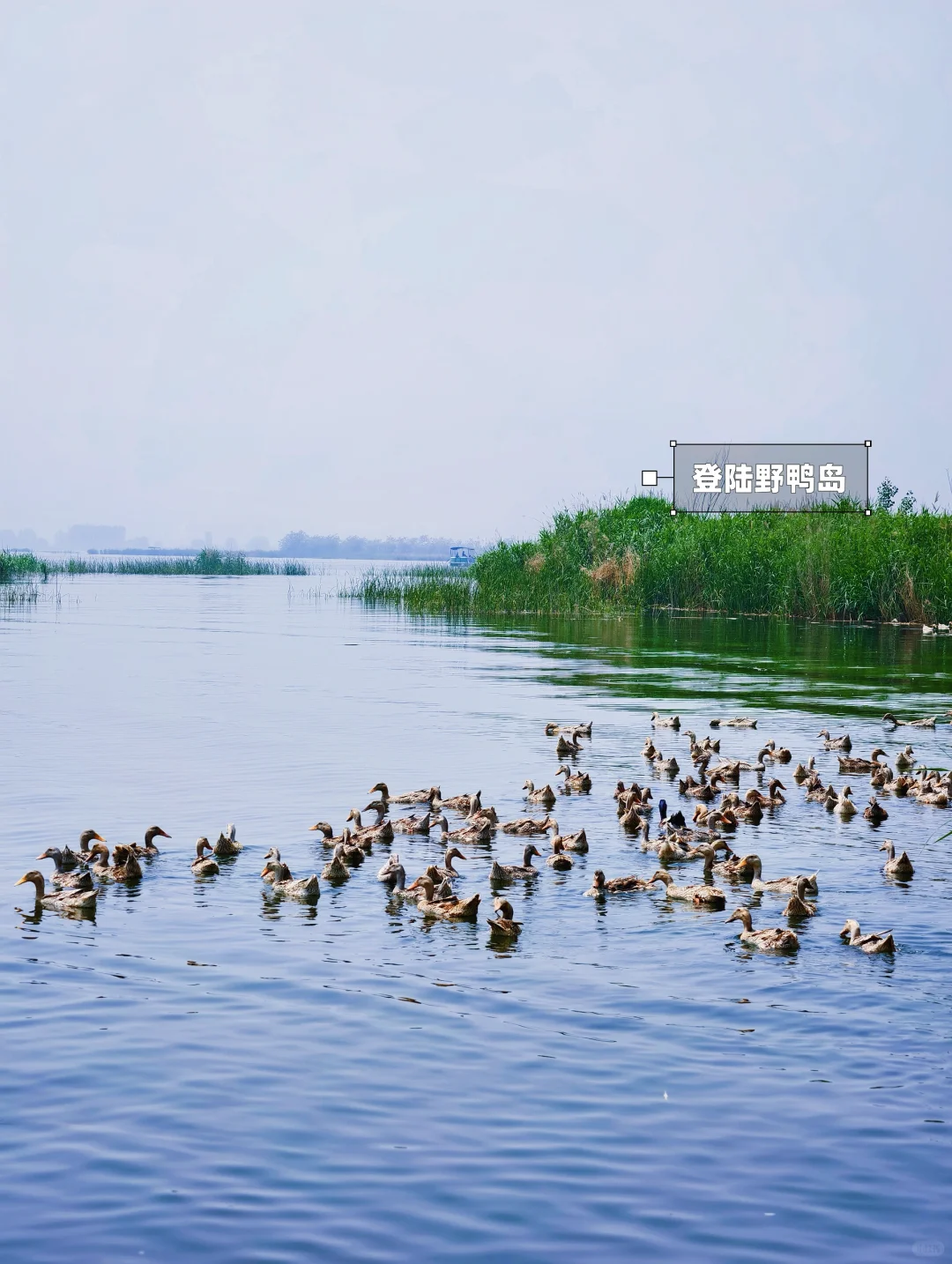 不是三亚去不起，而是京边“海”有性价比❗️