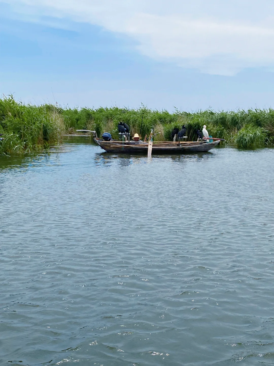 🌾【白洋淀|躲进北国的水乡诗笺里】🌤️