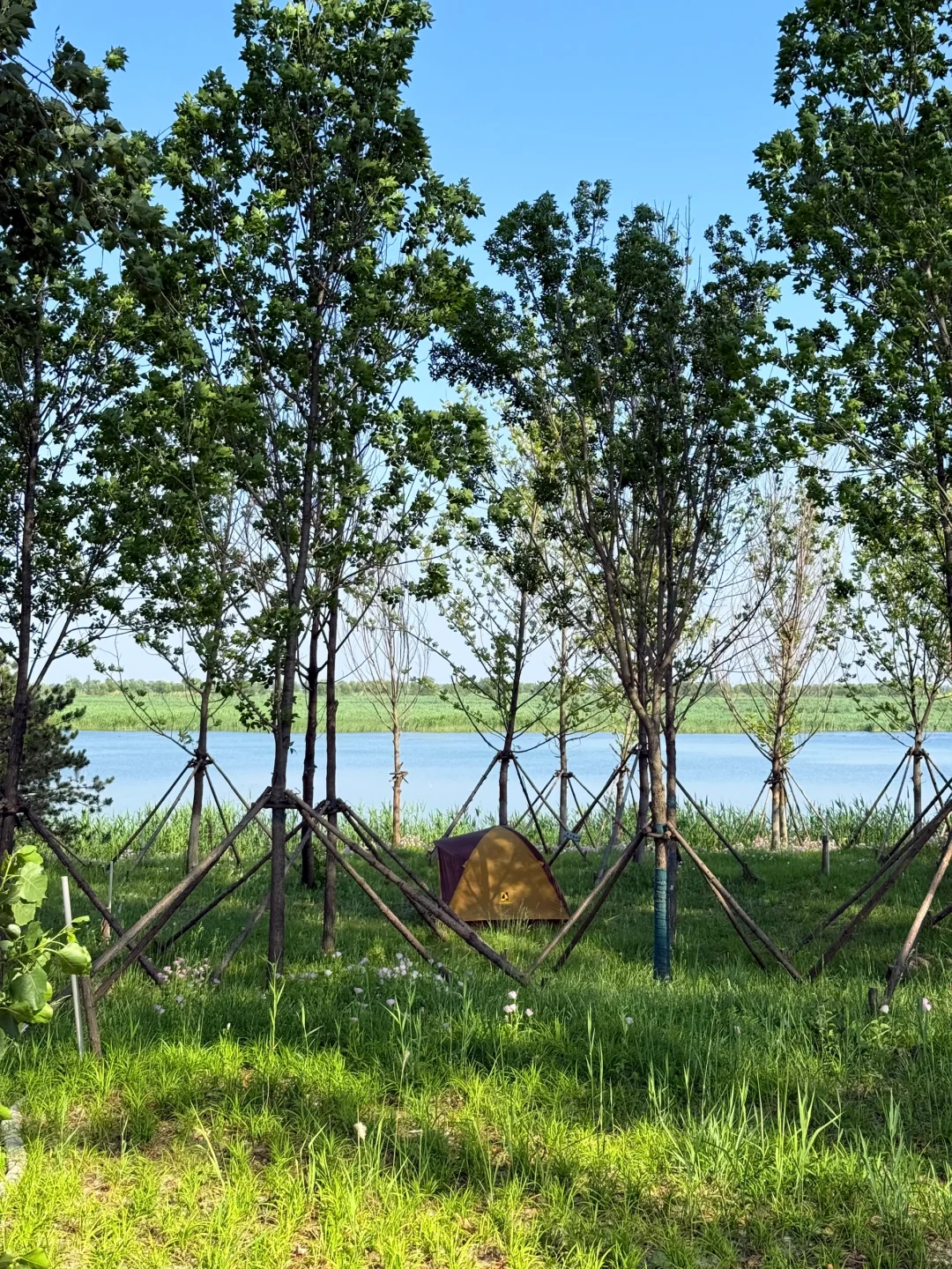 北京🚗1h|雄安白洋淀2天1夜免费景点全攻略