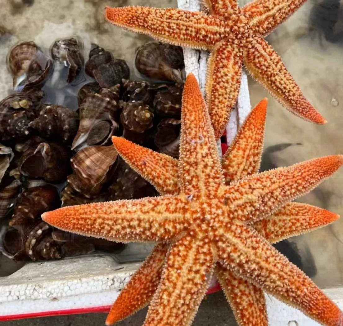 大连必去景点～