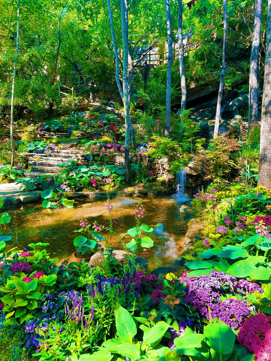 美哭了😭，拍到了同款莫奈花园，亲子友好