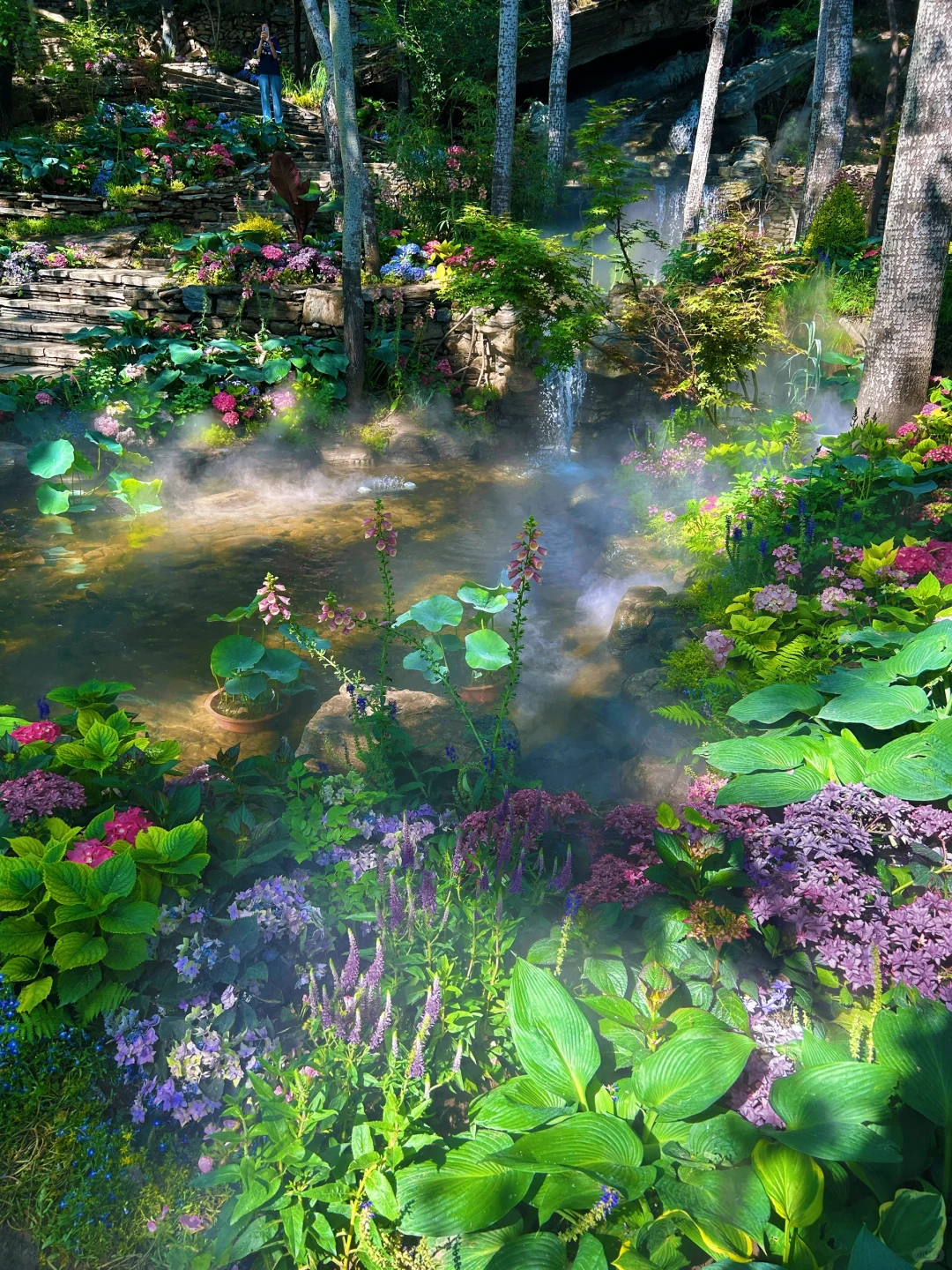 美哭了😭，拍到了同款莫奈花园，亲子友好