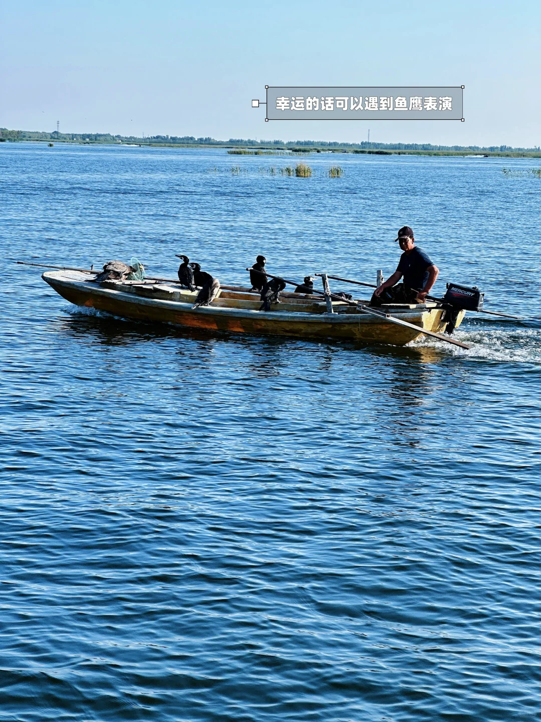 不是三亚去不起，而是京边“海”有性价比❗️