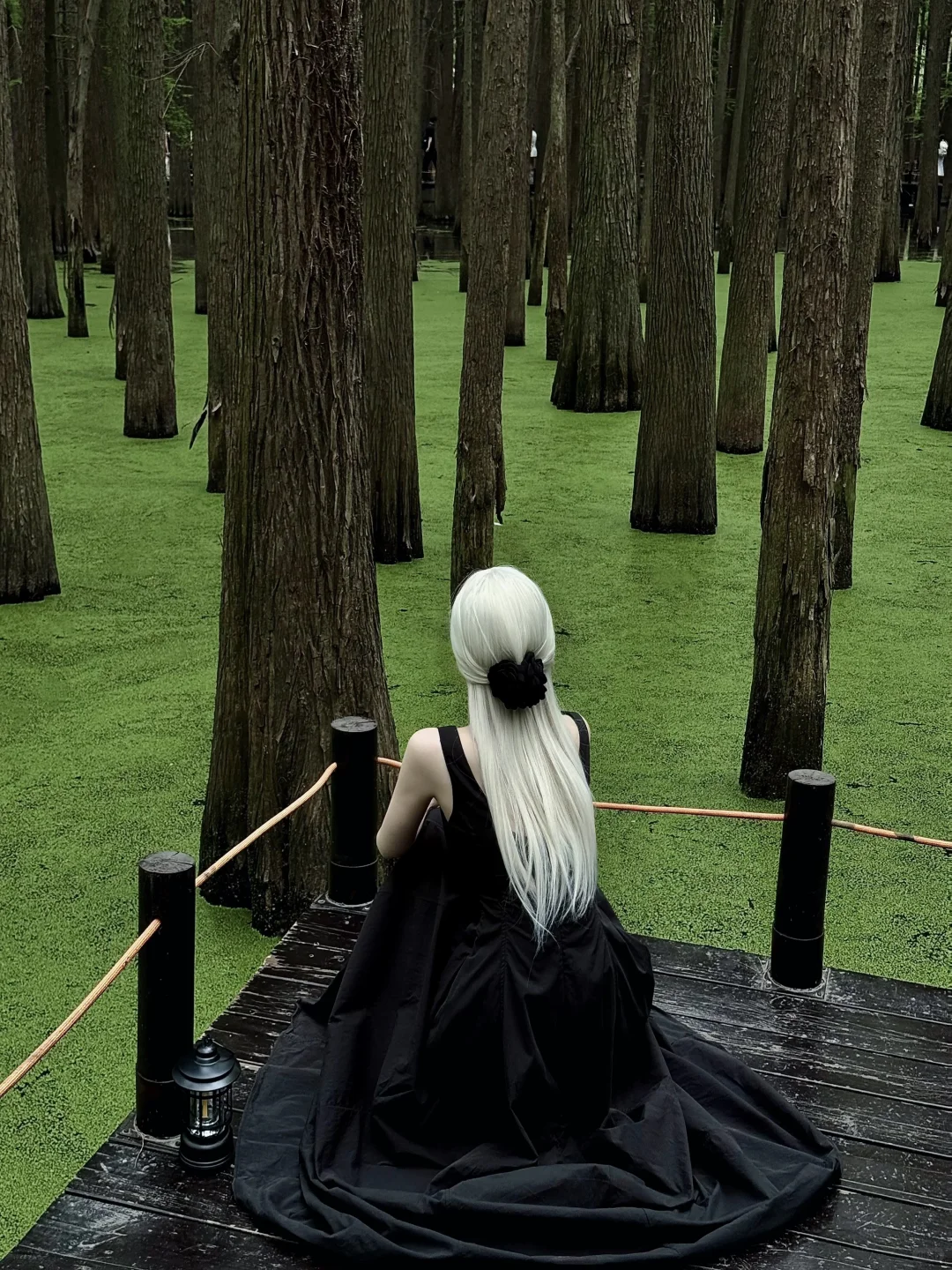 杭州青山湖真的绿啦🍃（附攻略）