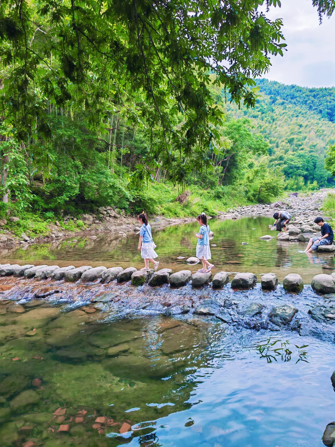 坐拥人间绝美，溪水摇篮🌲🌲