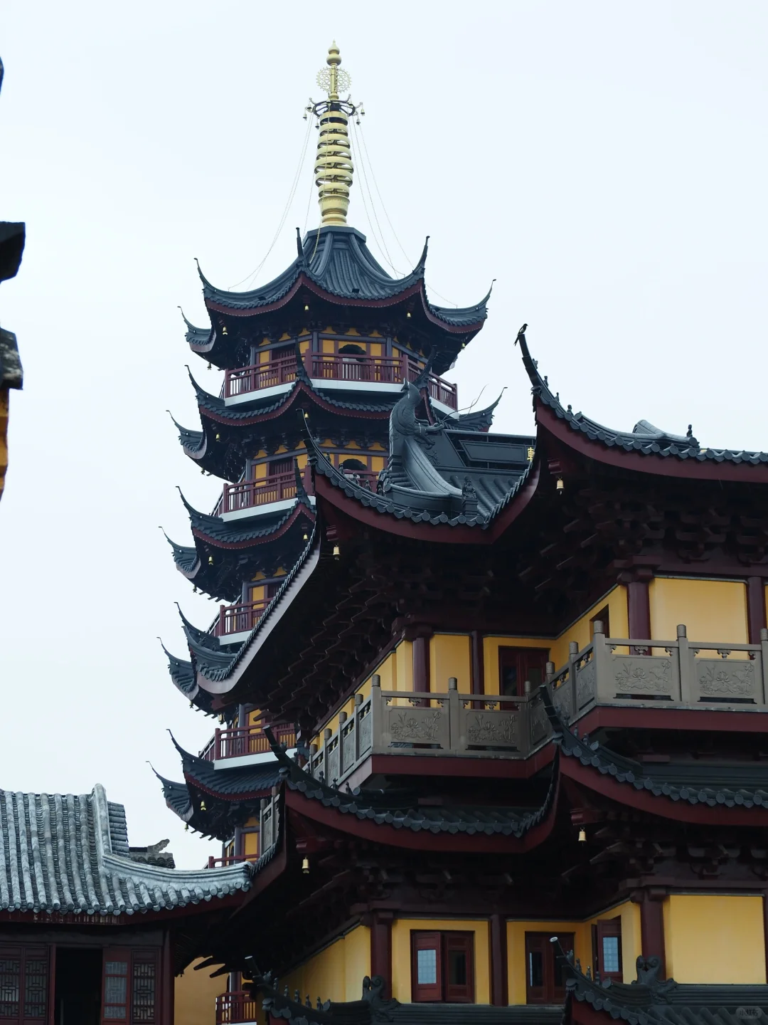 景区怎么全都免票！