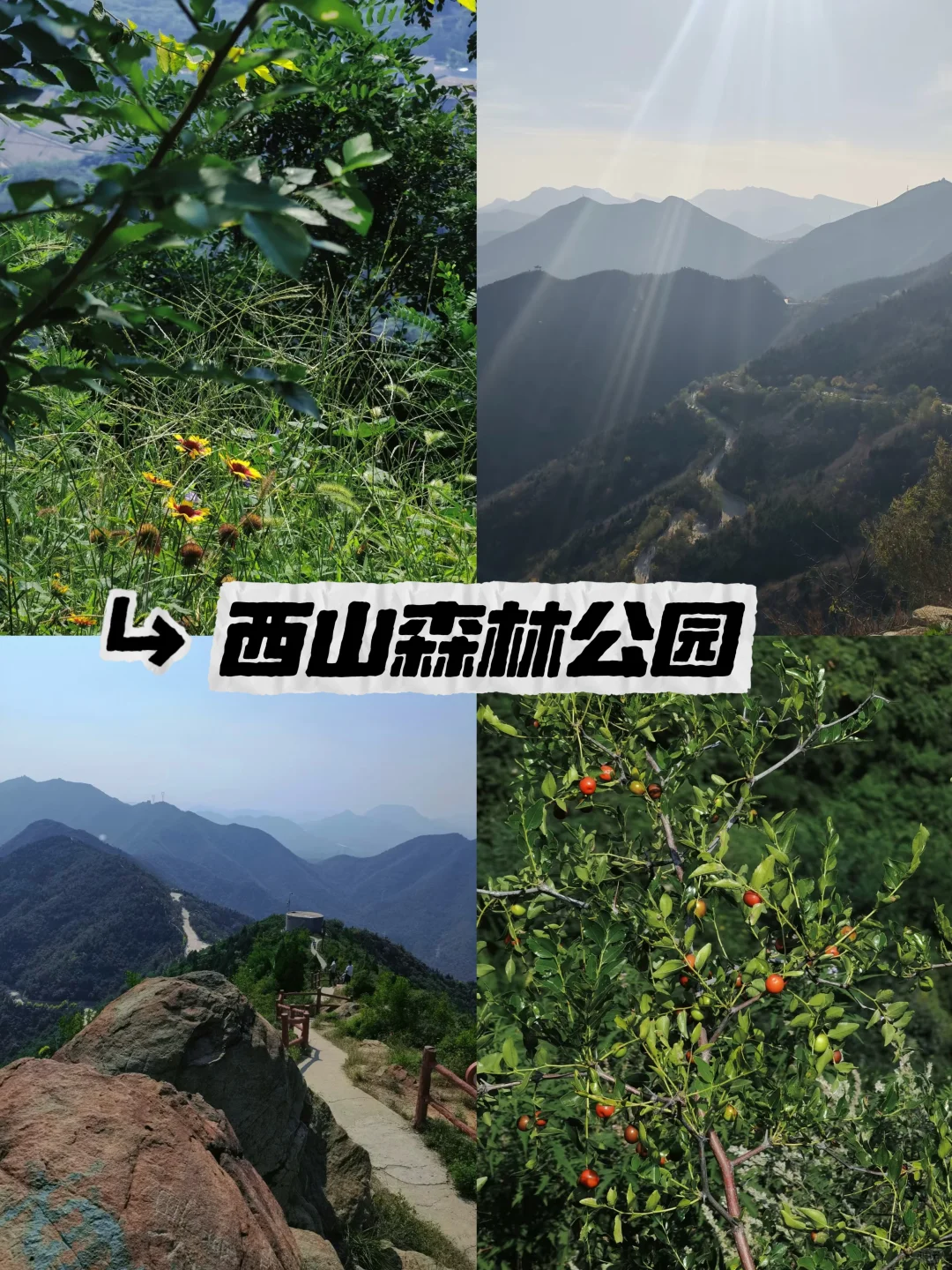 石家庄周边9个免费游玩好去处