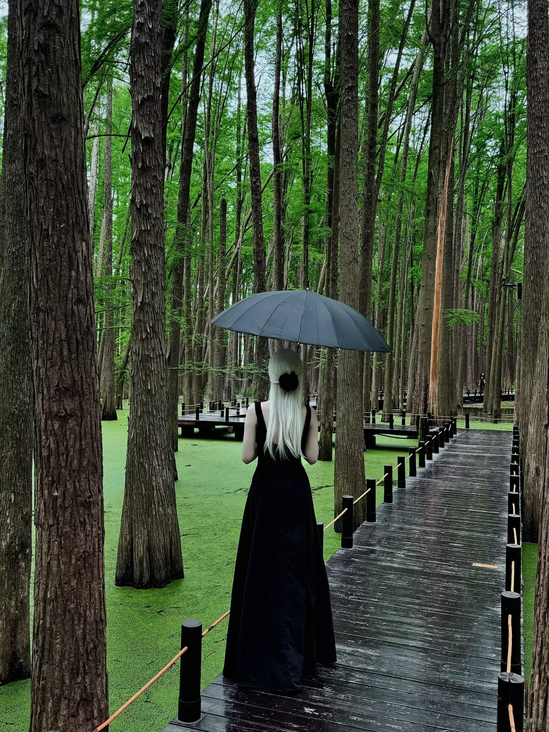 杭州青山湖真的绿啦🍃（附攻略）