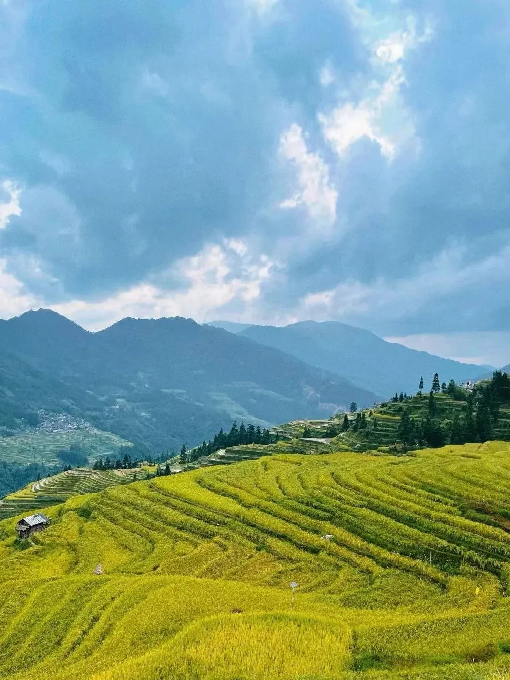 高铁直达🚝端午一定要来这个避世古村躺平