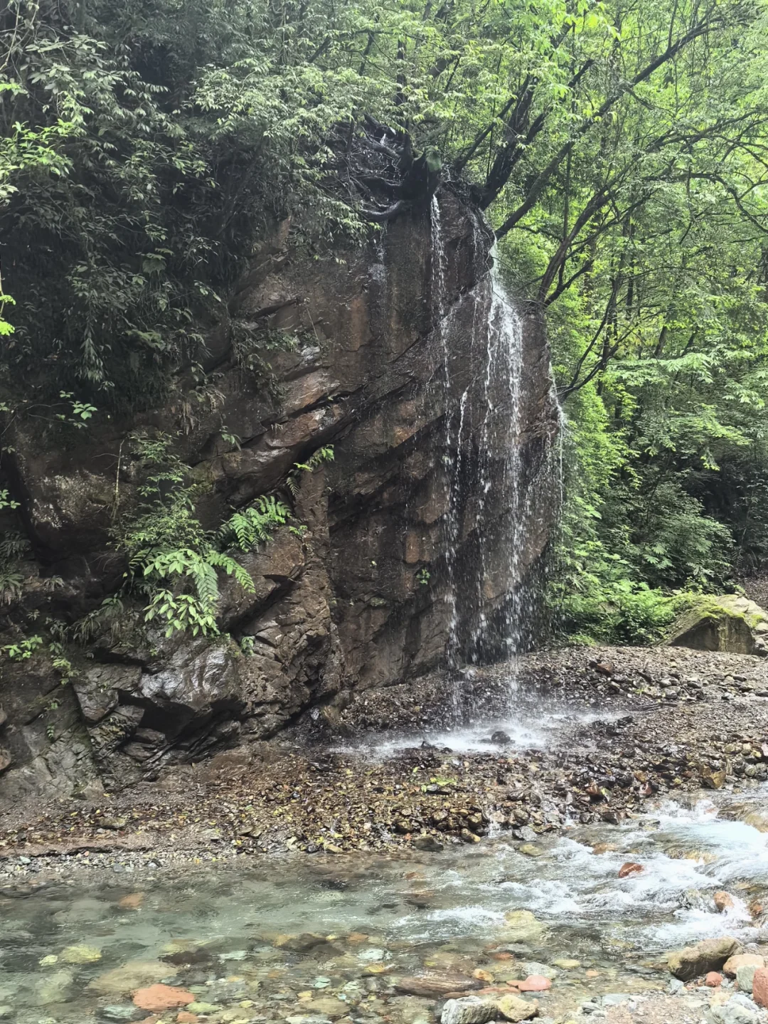 大邑大飞水亲子游—风中摇曳的百合花